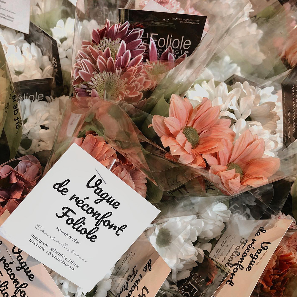 FOLIOLE -Vague Reconfort