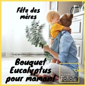 Eucalyptus pour la douche Fleuristefoliole.com