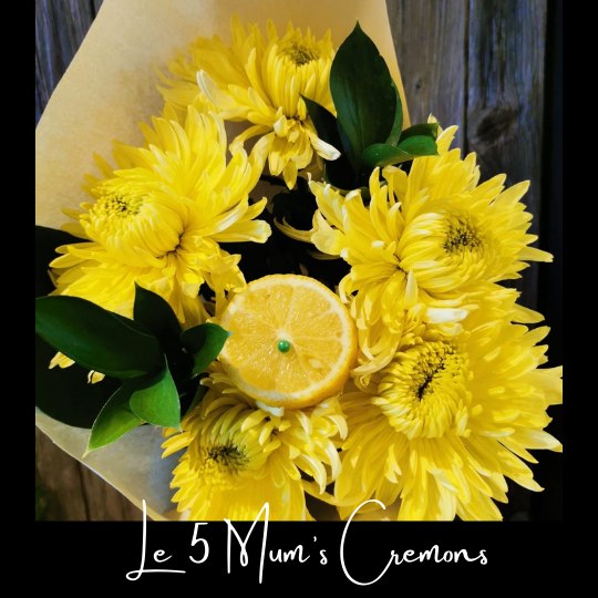 Bouquet vague de reconfort fleuriste foliole le 5 cremons