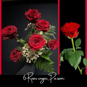 Bouquet de 6 roses rouge fleuriste foliole expert en livraison 3 hrs