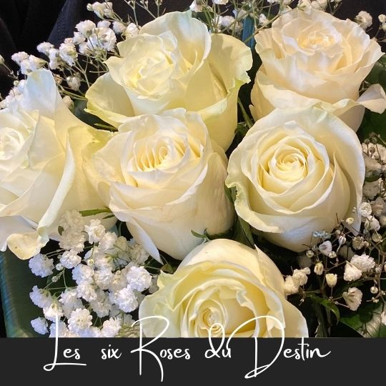 les six roses du destin fleuristefoliole.com