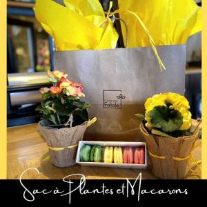 Sac a plantes fleuristefoliole.com