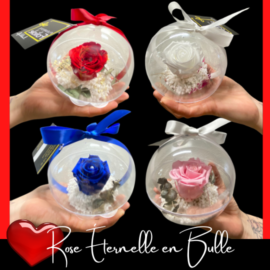 Rose éternelle en bulle - livraison de fleurs  Rosemere,Laval,Boisbriand,fontainbleau