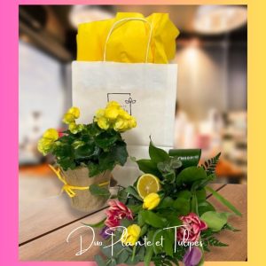 Sac à plante et un bouquet de tulipes cadeau fête des mères fleuristefoliole