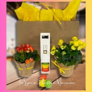 Pour maman un sac à plantes et des macarons exclusivité fleuriste foliole expert en livraison