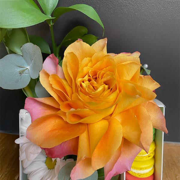 Composition Délices fleuri – Image 3