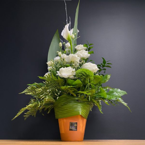 Corbeil le respect blanc – Image 3